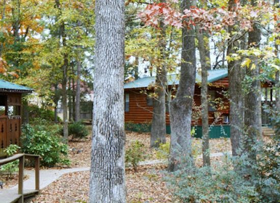 oklahoma/beavers-bend-state-park/landmark/beavers-bend-wildlife-museum