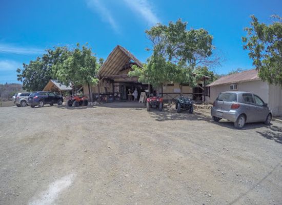 curacao/scharloo/landmark/curacao-ostrich-farm