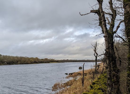 ireland/county-clare/landmark/coole-park-nature-reserve