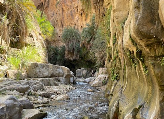 jordan/dibeen-forest/landmark/wadi-bin-hammad