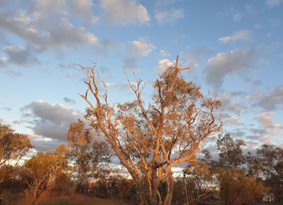 australia/outback/landmark/outback-pioneers-tours-and-experiences