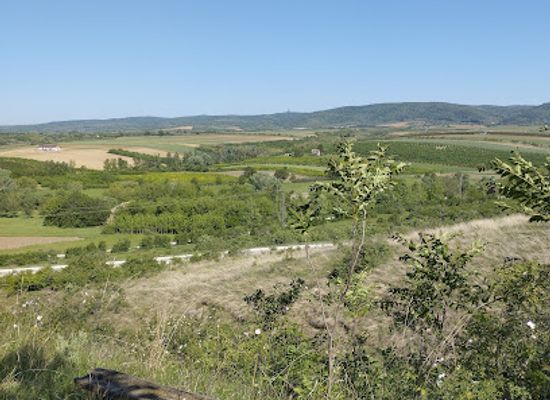 serbia/fruska-gora-national-park/landmark/najlepsi-vidikovac-na-frusku-goru-iz-srema