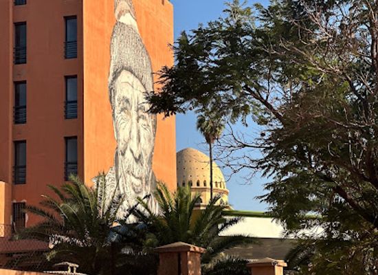 morocco/marrakech/hivernage/landmark/mural-by-hendrik-beikirch-tracing-morocco