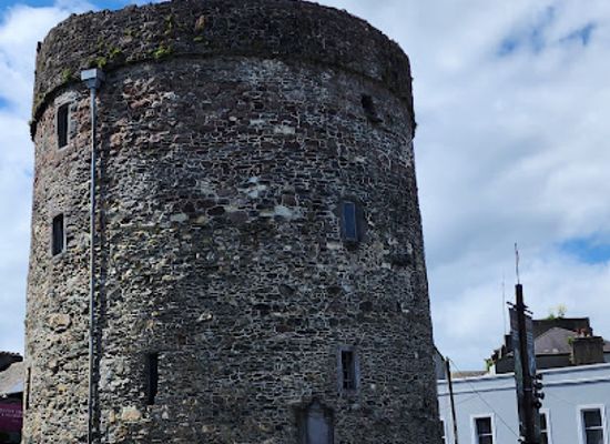 ireland/county-waterford/landmark/reginald-s-tower
