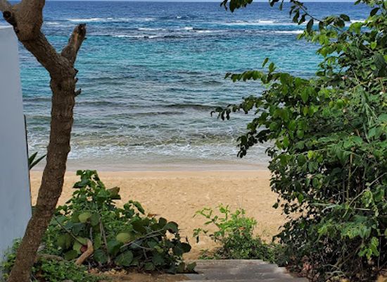 puerto-rico/isabela/landmark/shacks-beach