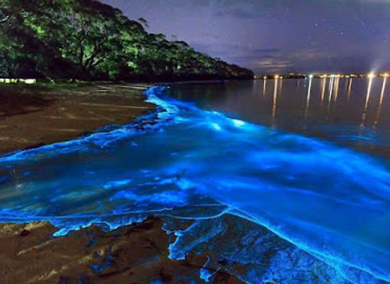 maldives/raa-atoll/landmark/vaadhoo
