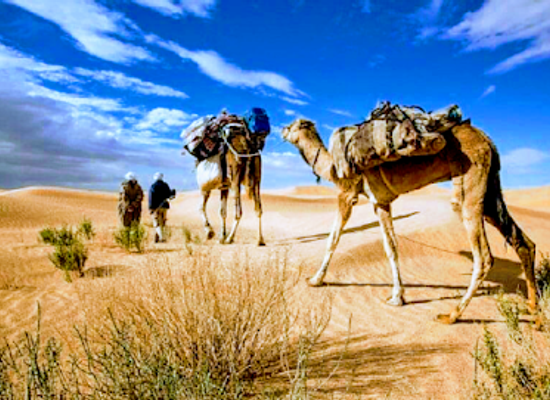 tunisia/the-djerid/landmark/tunisie-reves