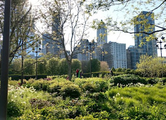 illinois/chicago/millennium-park/landmark/lurie-garden