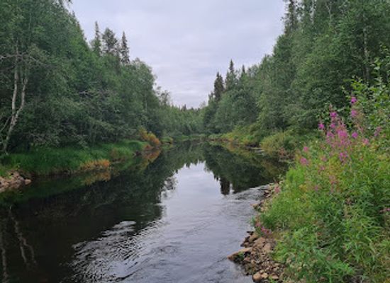 finland/ruka/landmark/auttikongas