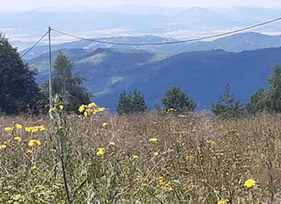 bulgaria/vitosha-mountain/landmark/momina-skala