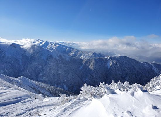 bulgaria/borovets/landmark/the-green-king-borovets