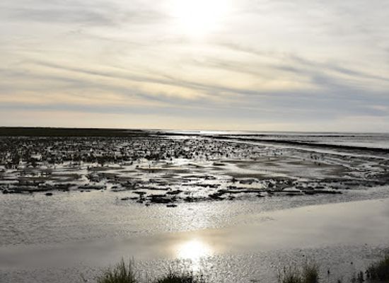 netherlands/wadden-islands/landmark/noard-fryslan-butendyks
