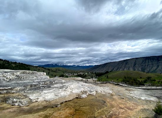 montana/yellowstone-national-park/landmark/minerva-terrace