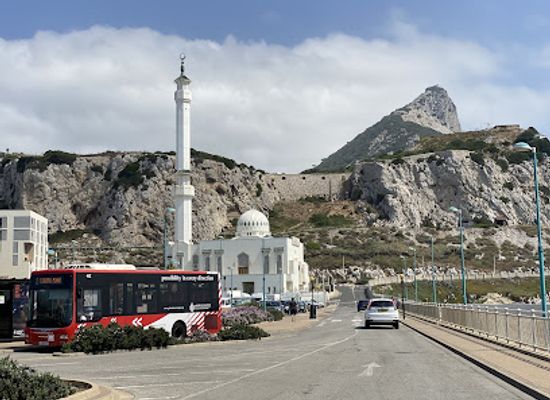 gibraltar/upper-rock-nature-reserve/landmark/gibraltar-official-rock-tours
