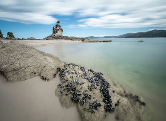 new-zealand/tasman/landmark/abel-tasman-tourism-information