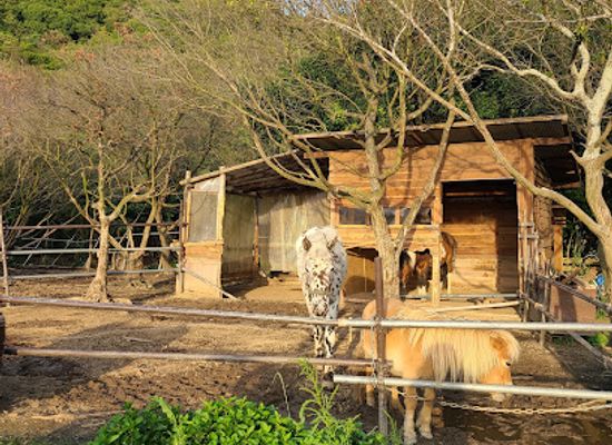 japan/awaji/landmark/awajijanohire-outdoor-resort