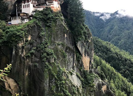 bhutan/tsirang/landmark/royal-takin-preserve