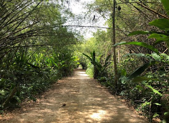 suriname/interior-rainforest/landmark/peperpot-nature-park