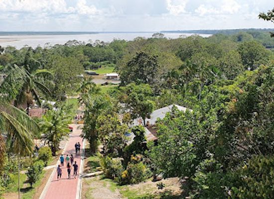 colombia/leticia/landmark/amazon-jungle-trips