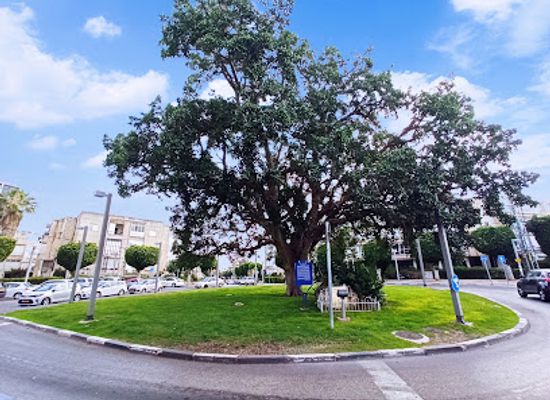 israel/holon/landmark/kikar-hashiva