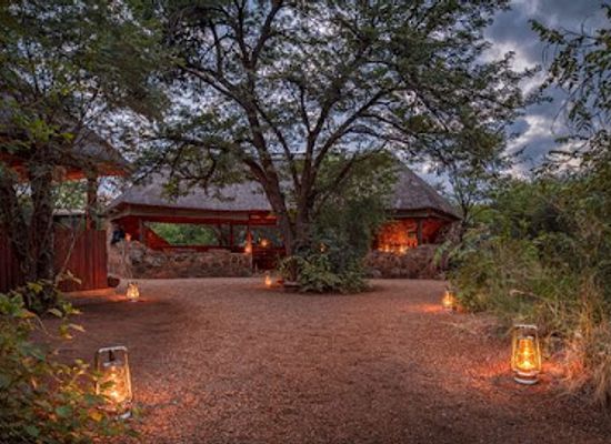 south-africa/bushveld/landmark/mosetlha-bush-camp-eco-lodge-madikwe-game-reserve