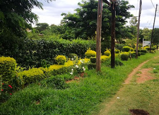 malawi/lilongwe/area-47/landmark/havilah-park