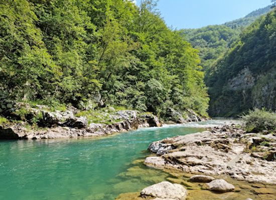 montenegro/tara-river-valley/landmark/tara-canyon-viewpoint