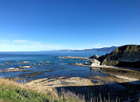 new-zealand/marlborough/landmark/whalers-bay