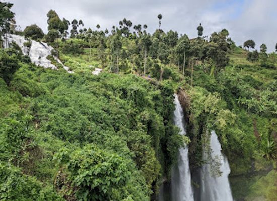kenya/kitale/landmark/mount-elgon-national-park