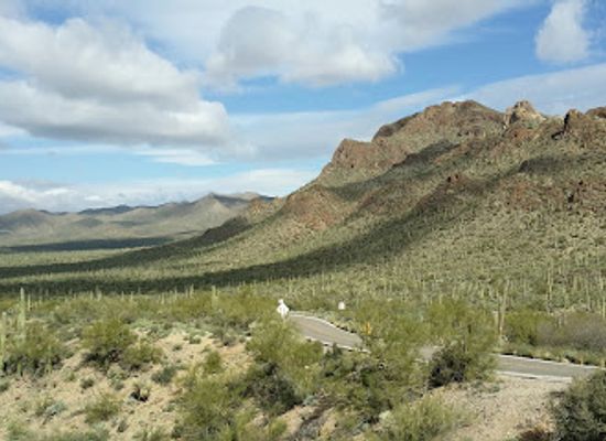 arizona/pima-county/landmark/arizona-sonora-desert-museum