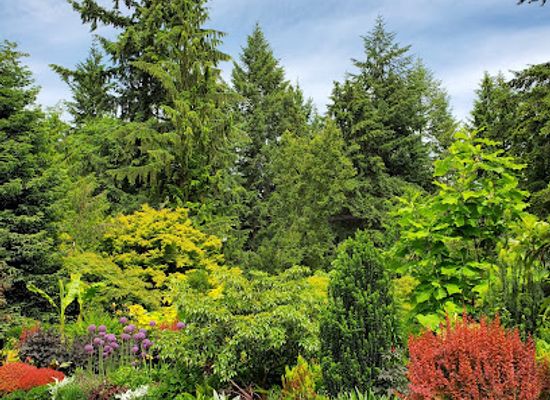 washington/federal-way/landmark/powellswood-garden