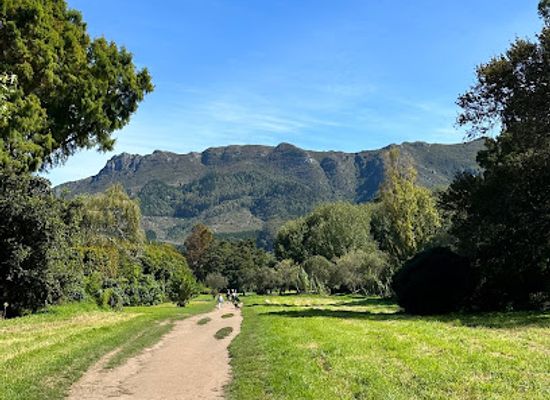 south-africa/cape-town/landmark/constantia-greenbelt-and-forest