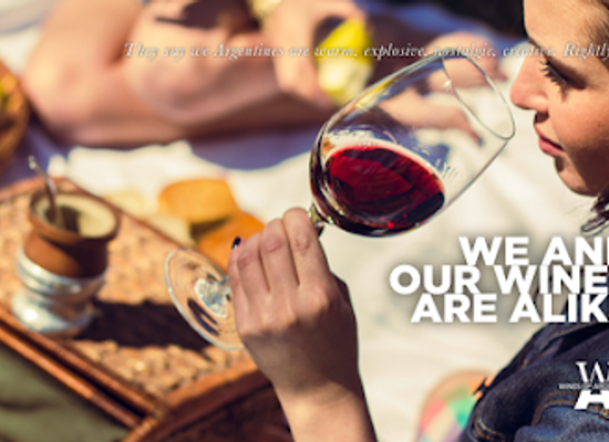 argentina/mendoza-wine-region/landmark/wines-of-argentina