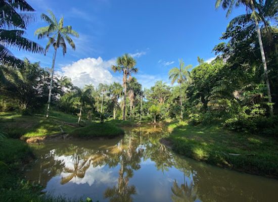 colombia/leticia/landmark/amazonas-extremo