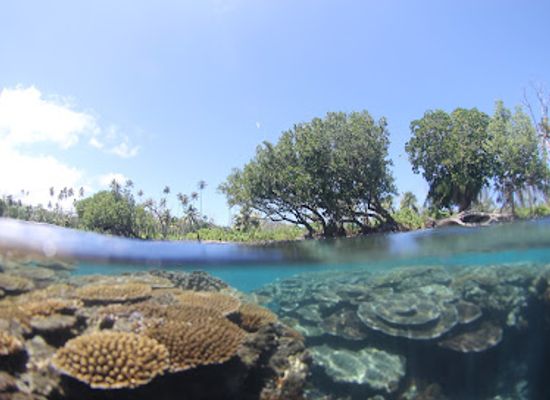samoa/a-ana/landmark/manoa-tours-surf-samoa