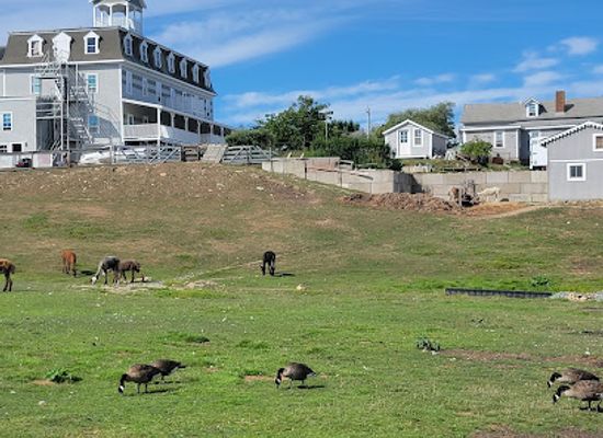 rhode-island/block-island/landmark/abrams-animal-farm