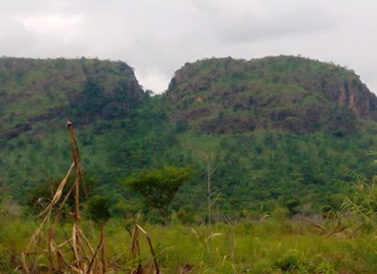 ghana/mole-national-park/landmark/bui-national-park-tortoisepath-com