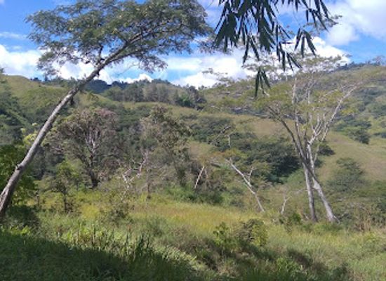papua-new-guinea/eastern-highlands/landmark/gawa-plains-tonari-family