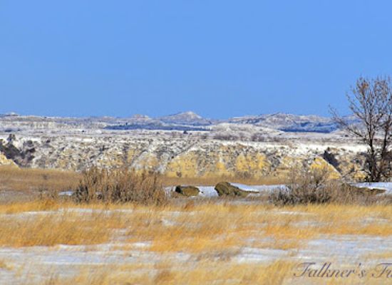 north-dakota/theodore-roosevelt-national-park/landmark/theodore-roosevelt-nature-and-history-association