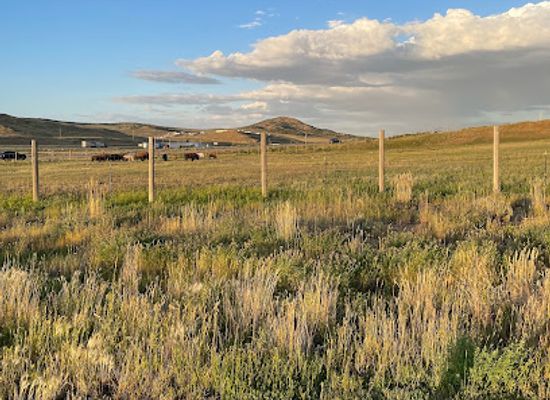 wyoming/uinta-county/landmark/bear-river-state-park-visitor-center