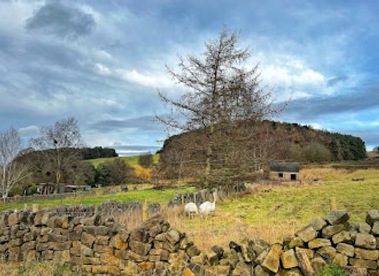 united-kingdom/derbyshire/attraction/rowtor-rocks-2