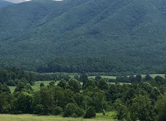 tennessee/great-smoky-mountains/landmark/tipton-place