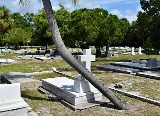 florida/sun-coast/landmark/rosemary-cemetery