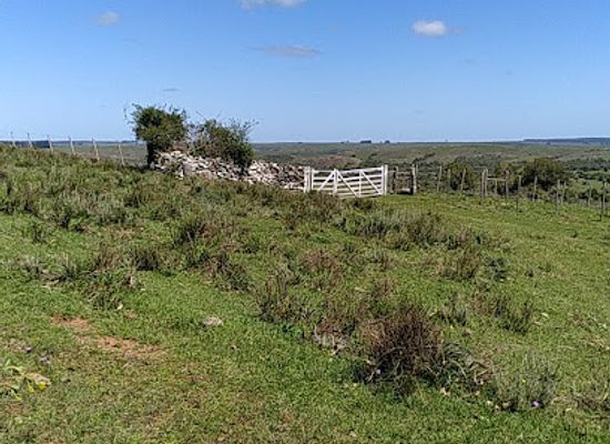uruguay/cuchilla-grande/landmark/nu-pora