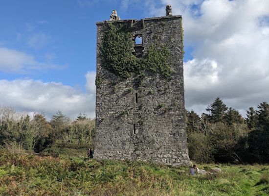 ireland/county-galway/landmark/merlin-castle