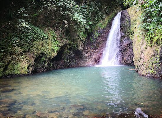 grenada/gouyave/landmark/seven-sisters-waterfalls