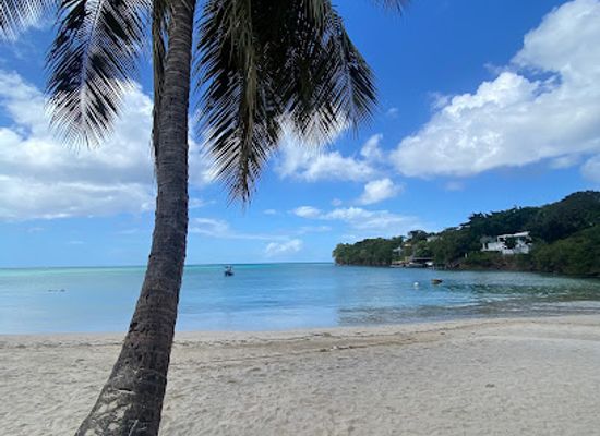 grenada/saint-george/landmark/morne-rouge-beach