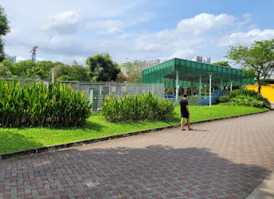 singapore/pasir-ris/landmark/lorong-halus-wetland