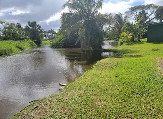 guyana/bartica/landmark/guyana-zoo