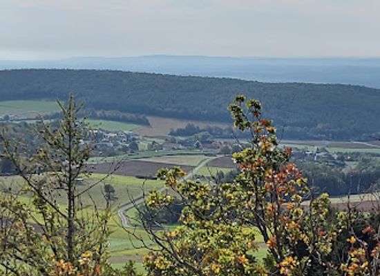 austria/burgenland/landmark/baumwipfelweg-althodis